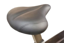 Load image into Gallery viewer, California Fitness UB30 Upright Exercise Bike (🍂 FALL CLEARANCE SALE)