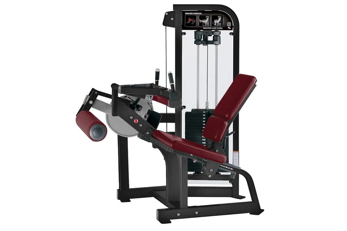 Hammer Strength Select Seated Leg Curl – 360 Fitness Superstore