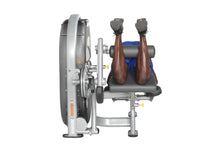 Load image into Gallery viewer, Hoist Standing / Prone Leg Curl (CL-3408)