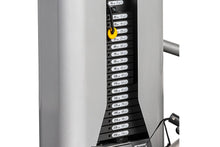 Load image into Gallery viewer, Hoist ROC-IT Biceps Curl Machine (RS-2102)