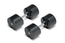 Load image into Gallery viewer, NÜOBELL 80lb Adjustable Dumbbells