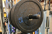 Load image into Gallery viewer, Warrior Hi-Temp Bumper Plates