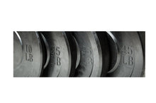 Load image into Gallery viewer, Warrior Economy Bumper Plates ($0.88/lb)  IN-STORE SPECIAL
