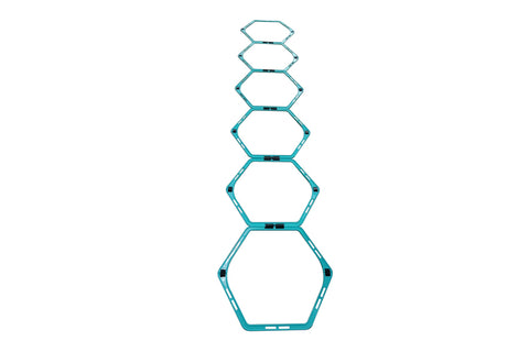 Warrior Hexagonal Agility Ladder & Hurdle