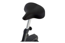 Load image into Gallery viewer, LifeSpan C5i Upright Exercise Bike