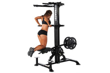 Load image into Gallery viewer, Powertec LeverGym Chin/Dip Assist (๐ FALL CLEARANCE SALE)