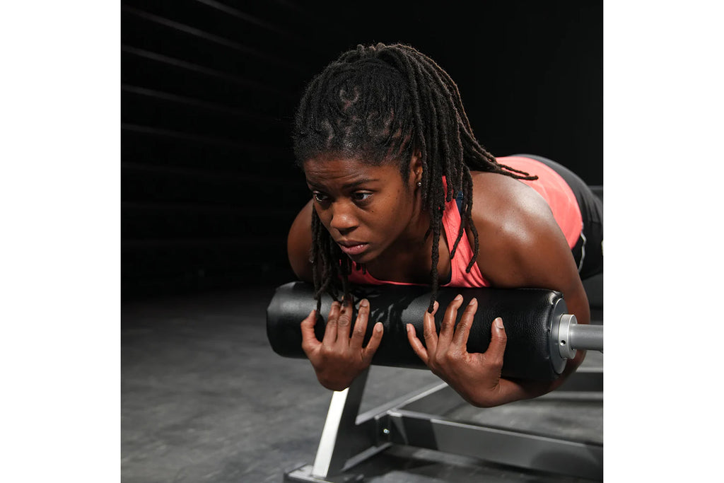 Hammer Strength Assisted Nordic Ham