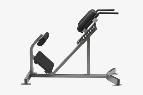 Hammer Strength Back Extension
