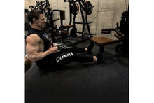 Load image into Gallery viewer, Hammer Strength HD Elite Dual Pulldown Row

