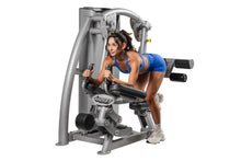 Load image into Gallery viewer, Hoist ROC-IT Glute Master Machine (RS-2412)
