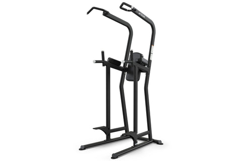 TRUE FS-23 Chin Dip/Knee Raise