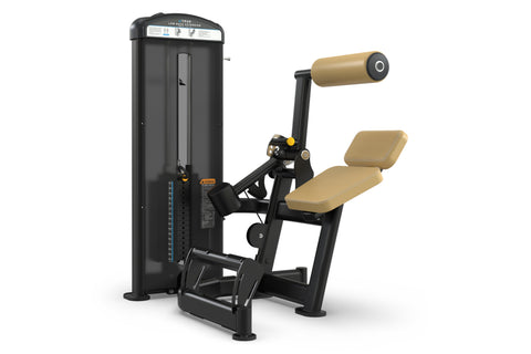 TRUE FUSE-1300 Lower Back Extension Machine