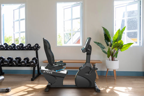 TRUE Performance Series Recumbent Exercise Bike