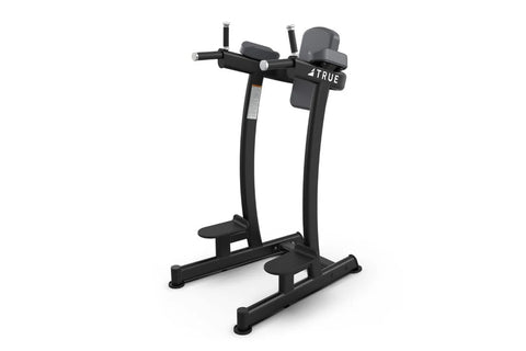 TRUE XFW-6400 Vertical Knee Raise/Dip