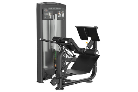 Warrior Elite Commercial Series Multi Back Extension (🪂NEW ITEM) (☃️WINTER SALE - Extra 5%)