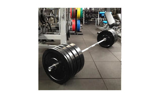 Warrior Premium Olympic Bumper Plate Set (500lbs)