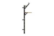 Load image into Gallery viewer, Swedish Stall Bars/Ladder (🪂NEW ITEM)
