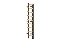 Load image into Gallery viewer, Swedish Stall Bars/Ladder (🪂NEW ITEM)
