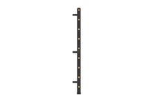 Load image into Gallery viewer, Swedish Stall Bars/Ladder (🪂NEW ITEM)
