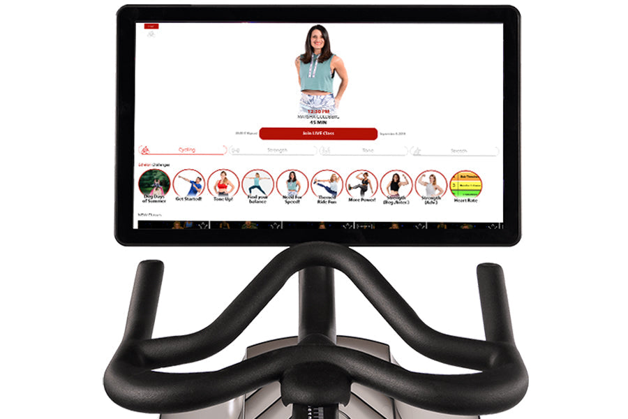 Echelon 21.5 inch 2025 screen
