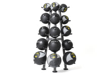 Load image into Gallery viewer, Element Fitness Medicine Ball Rack
