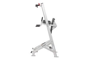 Hoist HF-5962 Fitness Tree