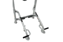 Load image into Gallery viewer, Hoist HF-5962 Fitness Tree
