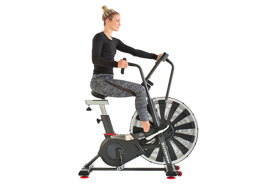 Schwinn airdyne ad8 air bike pro top