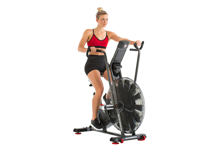 Schwinn recumbent bike with arm exerciser on sale