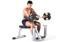 Load image into Gallery viewer, TuffStuff Evolution Seated Arm Curl Bench (CAC-365)
