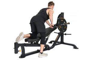 Powertec WorkBench MultiPress