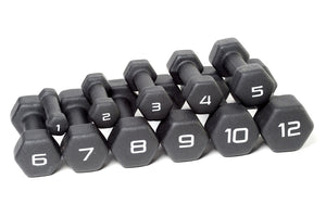 Warrior Neoprene Covered Dumbbells