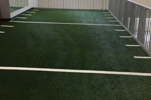 Warrior Agility Turf