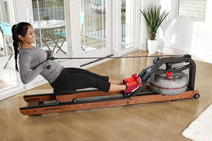 Life Fitness HX Row Trainer Water Rower