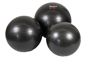 Warrior Anti-Burst Fitness Ball