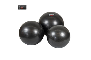 Warrior Anti-Burst Fitness Ball