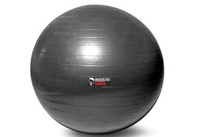 Warrior Anti-Burst Fitness Ball